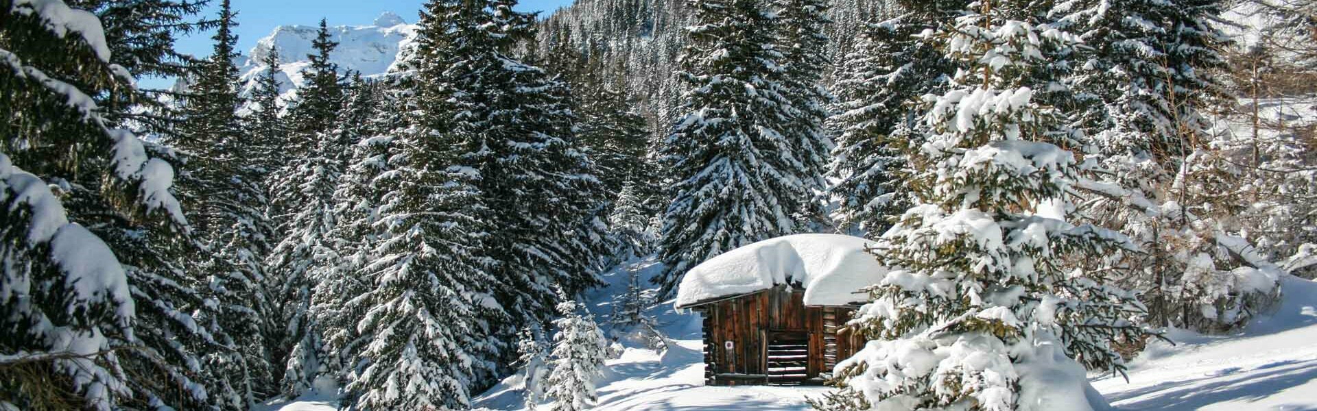 Tief verschneite Landschaft im Gschnitztal